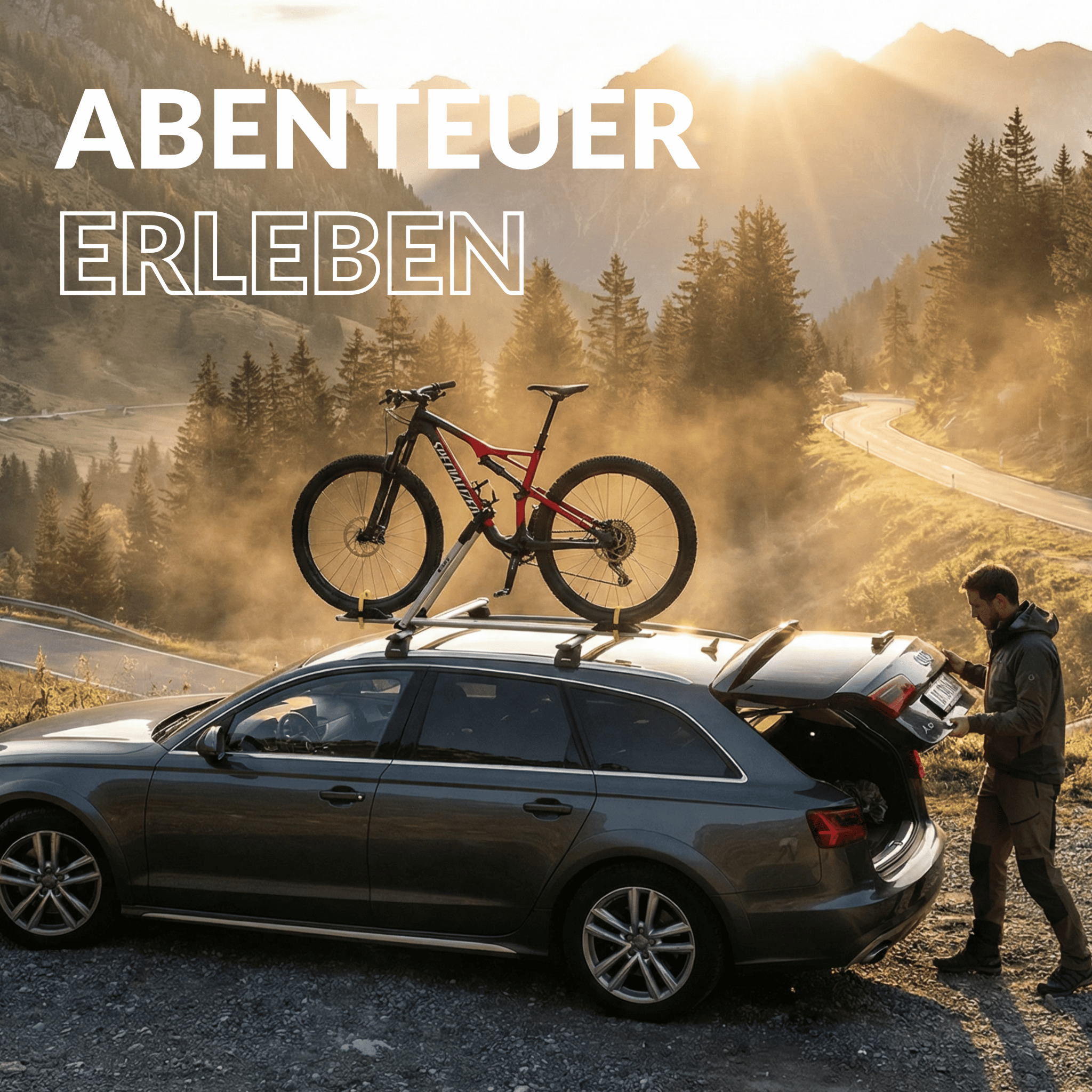 Owen Dachfahrradträger - OWEN