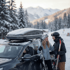 OWEN Rowa Dachbox 320l - OWEN