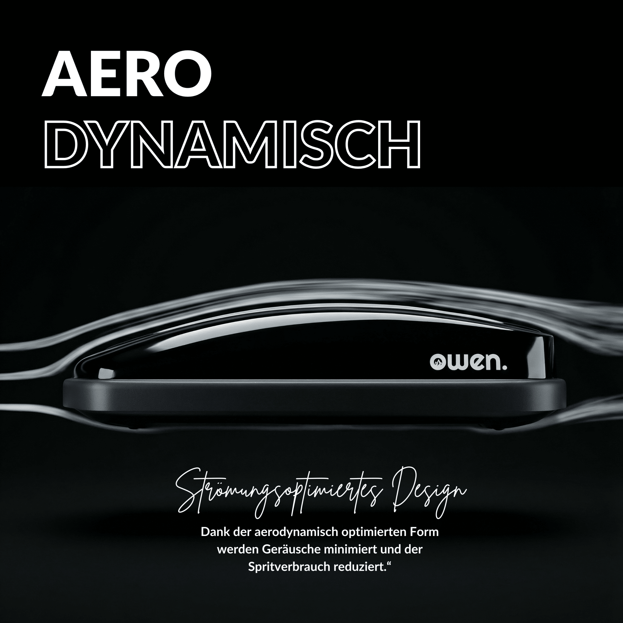 OWEN Rowa Dachbox 320l - OWEN